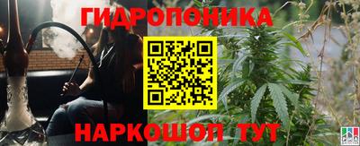 индика Гусь-Хрустальный