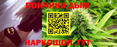 индика Гусь-Хрустальный