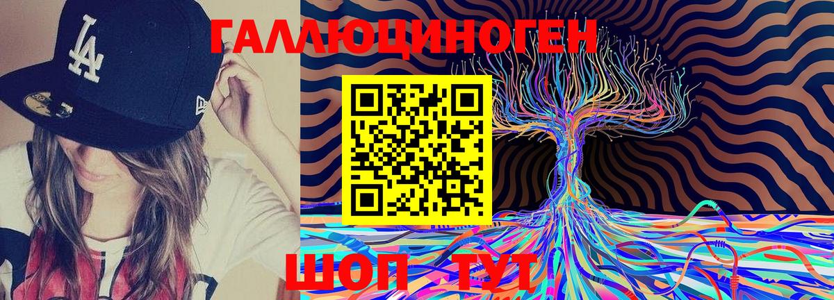 Кинешма  Галлюциногенные грибы Cubensis  что такое   Вход с VPN  Галлюциногенные грибы мухоморы 
